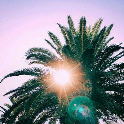 开yun体育官网入口登录苹果