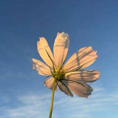 金年会·体育APP