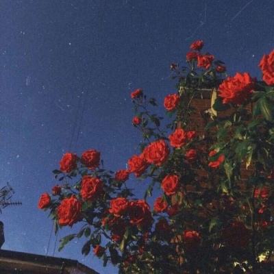 江南体育app下载方式