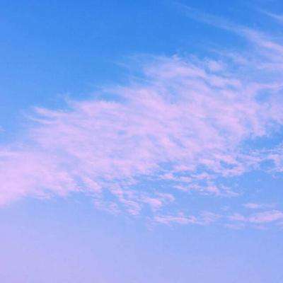 云开平台登录app