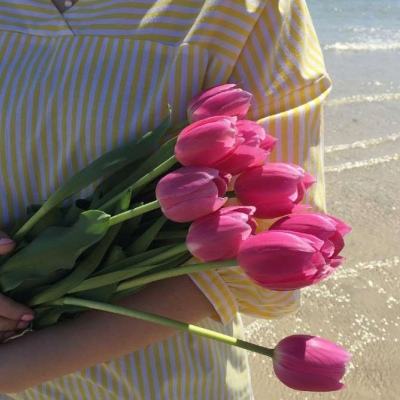 凯发K8官网入口