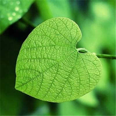 澳门·威斯尼斯wns888入口app下载